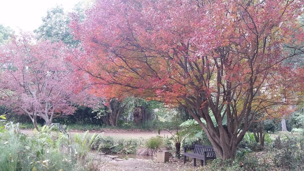 Babbling Brook Bed & Breakfast Pietermaritzburg Eksteriør bilde