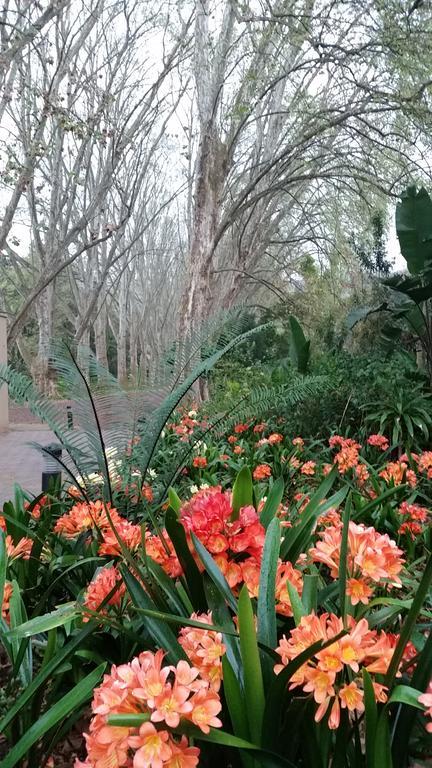 Babbling Brook Bed & Breakfast Pietermaritzburg Eksteriør bilde