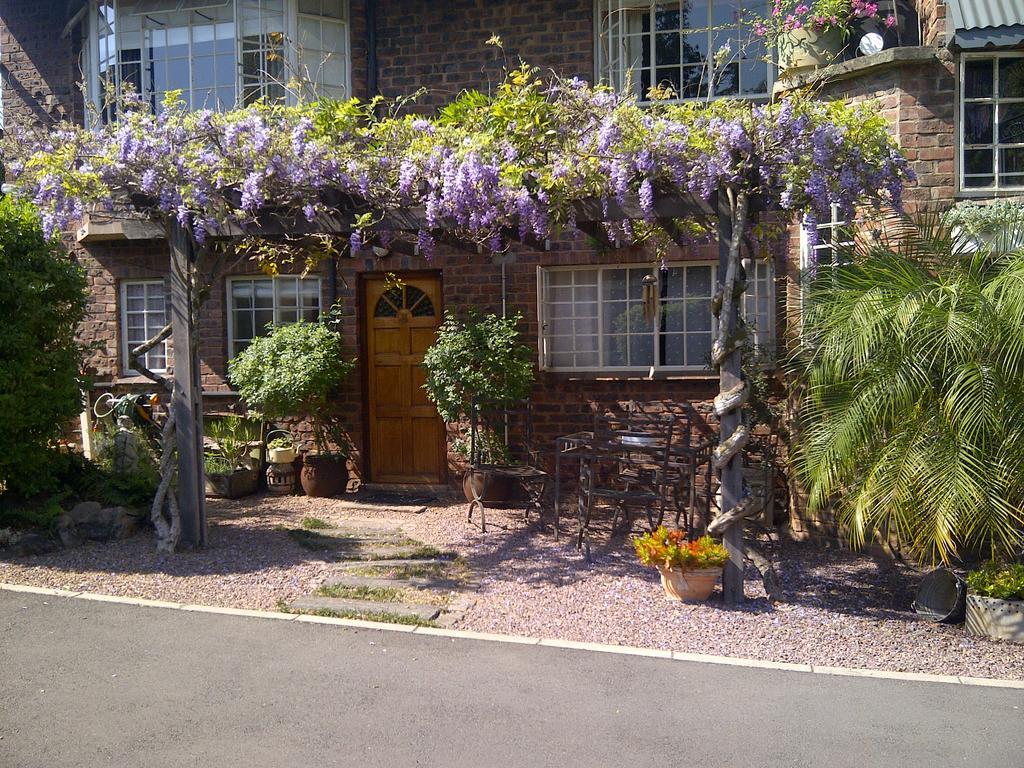 Babbling Brook Bed & Breakfast Pietermaritzburg Eksteriør bilde