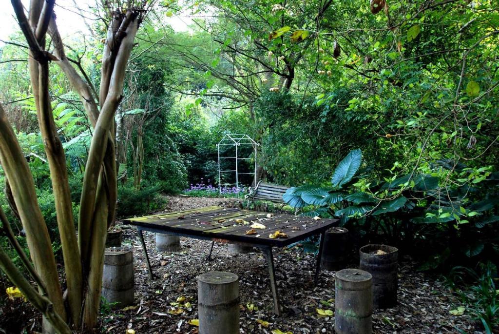 Babbling Brook Bed & Breakfast Pietermaritzburg Eksteriør bilde