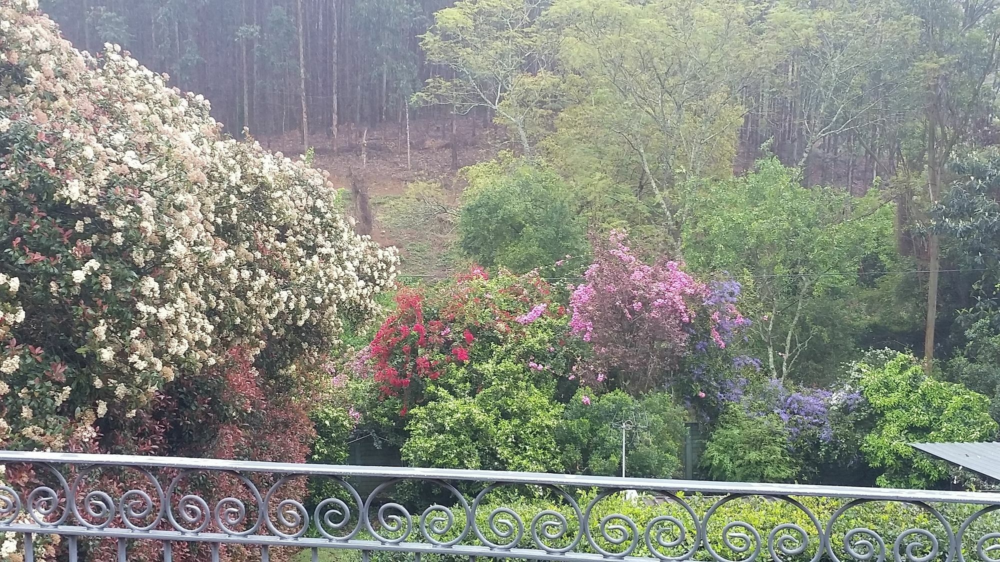 Babbling Brook Bed & Breakfast Pietermaritzburg Eksteriør bilde