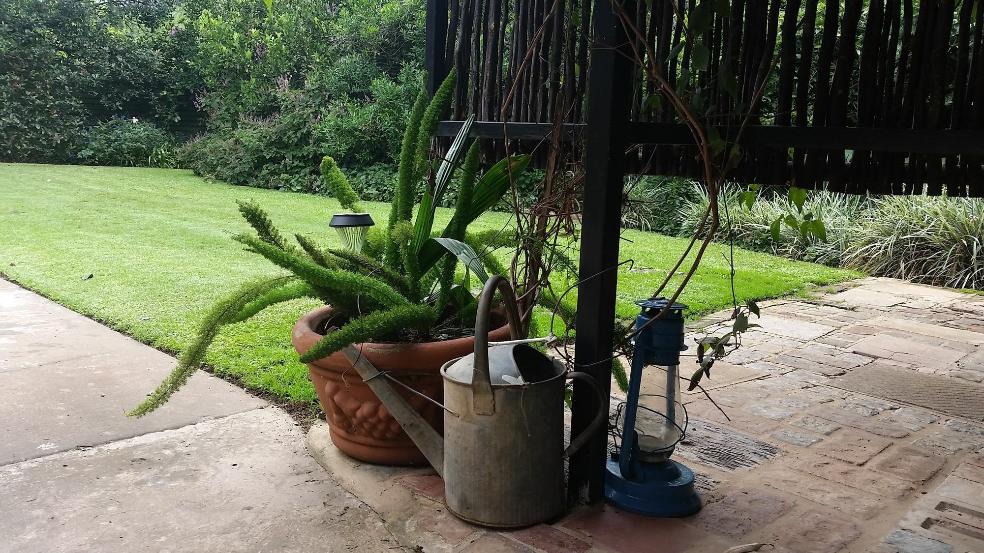 Babbling Brook Bed & Breakfast Pietermaritzburg Eksteriør bilde